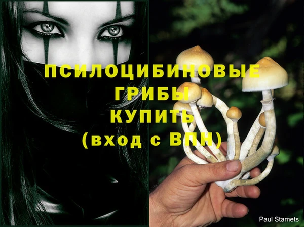ECSTASY Алексин