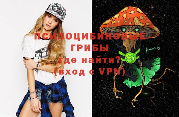 ECSTASY Алексин
