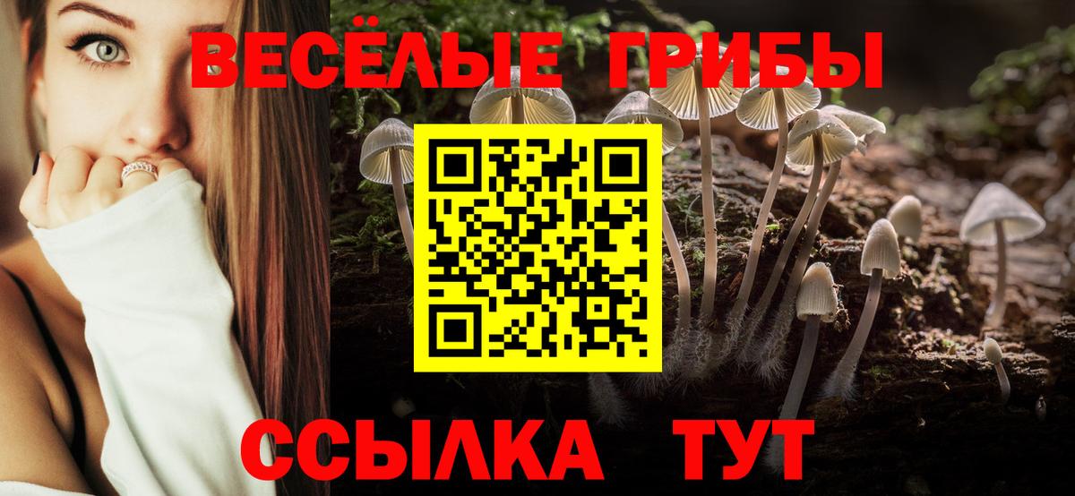 Псилоцибиновые грибы Psilocybe  Вход с VPN  Калач-на-Дону 