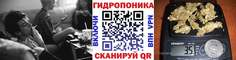 наркотики Калач-на-Дону OMG зеркало Конопля сатива